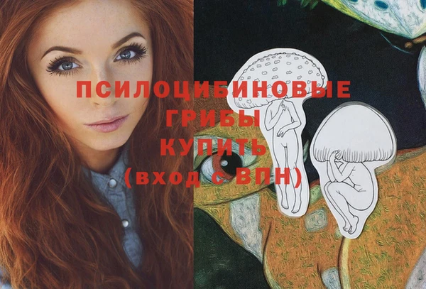 амф Зеленодольск