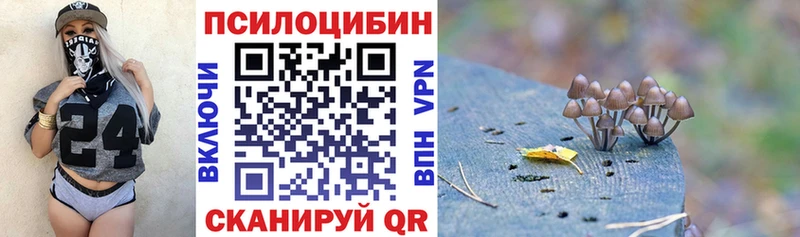 Галлюциногенные грибы GOLDEN TEACHER  Купить закладки  Ковылкино 
